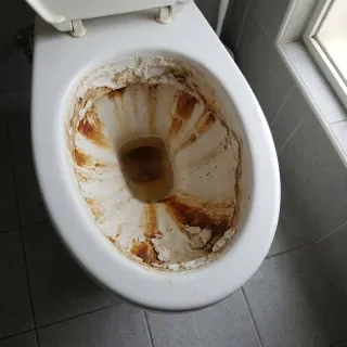 Before Cleaning Guest Toilet