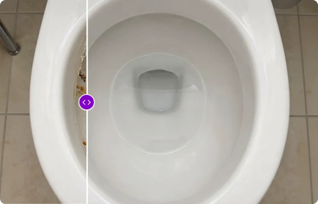 Sparkling Clean Toilet Bowl